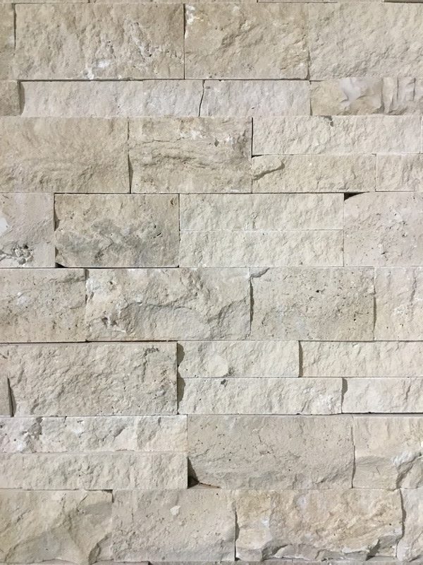 Ledger Panel